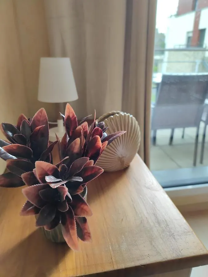 Charmant Appartement 3 Etoiles Classe Bord De Mer Travel Award 2024 Plougonvelin 0*,
